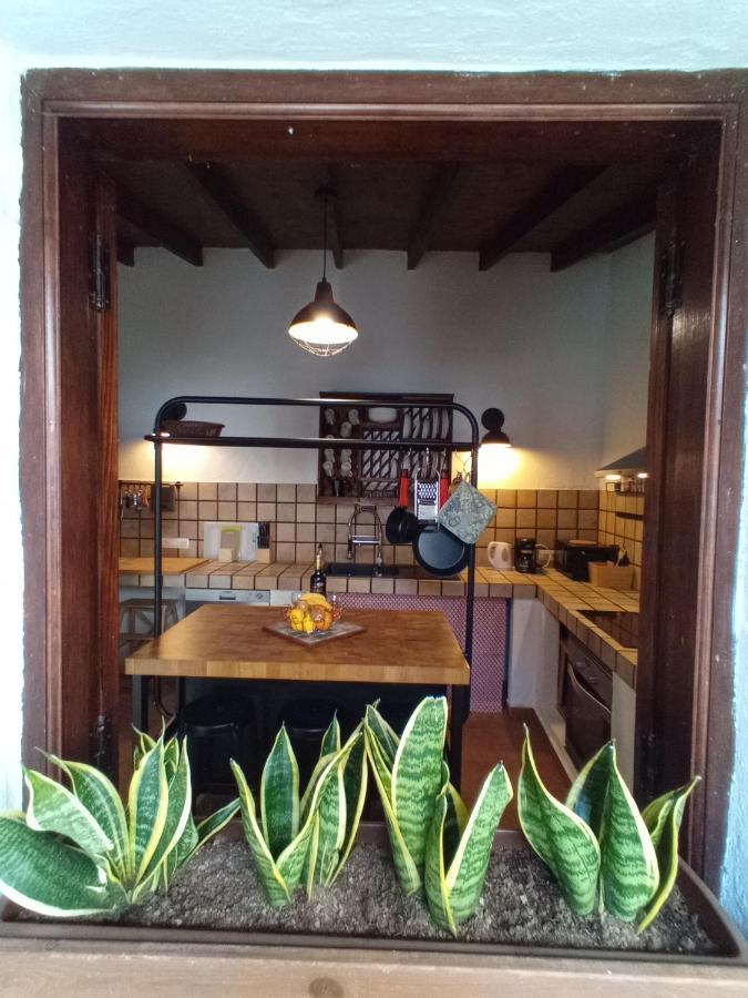 Finca La Sirena Habitaciones غاراتْشيكو المظهر الخارجي الصورة